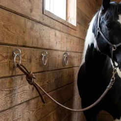 vidaXL Paardenbindringen met oogschroeven 3 st staal zilverkleurig