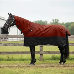 vidaXL Paardendeken Bordeaux en Zwart 75 cm Polyester