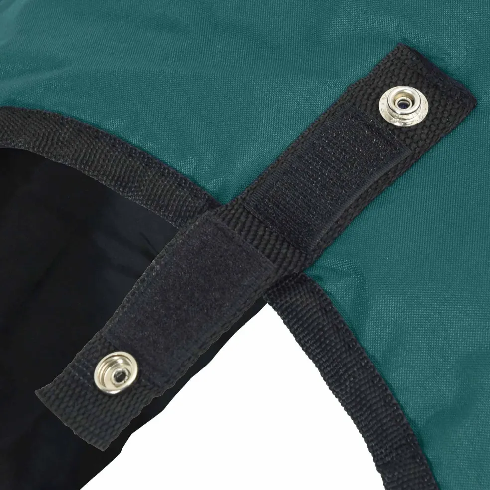 vidaXL Paardendeken Donkergroen en Zwart 75 cm Polyester