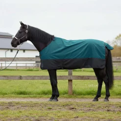 vidaXL Paardendeken Donkergroen en Zwart 75 cm Polyester
