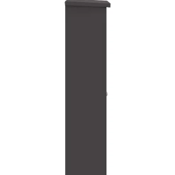 vidaXL Pakket inwerp box met opslag Zwart 44,5 x 29 x 110,5 cm Staal