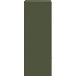 vidaXL Pakket inwerp box met opslag Olijfgroen 41 x 38 x 103 cm Staal