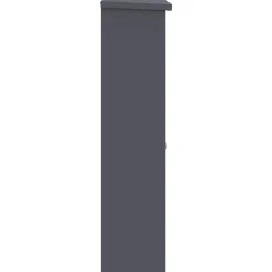 vidaXL Pakket inwerp box met slot Antraciet 44,5 x 29 x 110,5 cm Staal