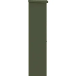 vidaXL Pakket inwerp box Olijfgroen 44,5 x 29 x 110,5 cm Staal