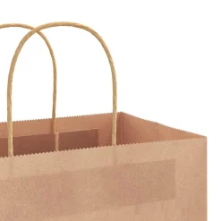 vidaXL Papieren zakken 50 st met hengsels 32x12x42 cm bruin