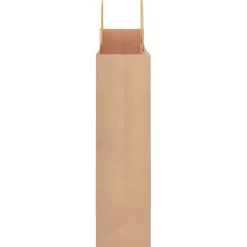 vidaXL Papieren zakken 50 st met hengsels 32x12x42 cm bruin