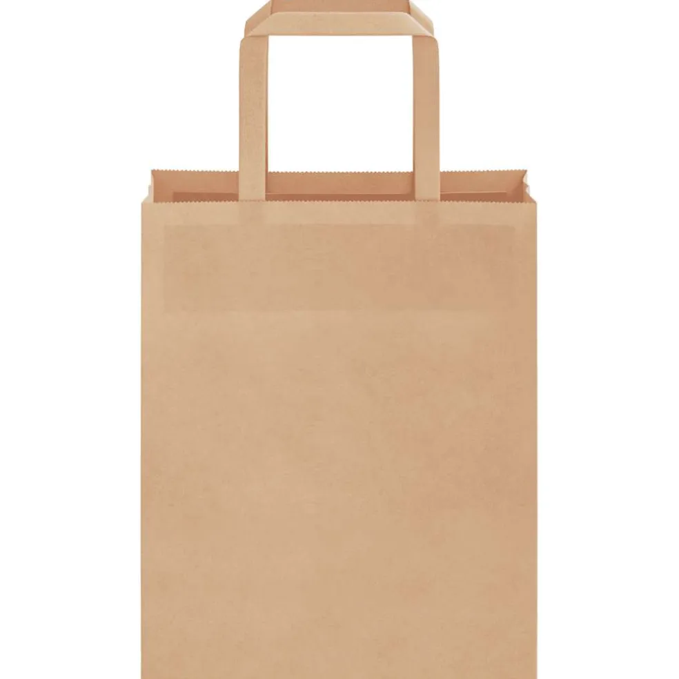 vidaXL Papieren zakken 50 st met hengsels 18x8x22 cm bruin