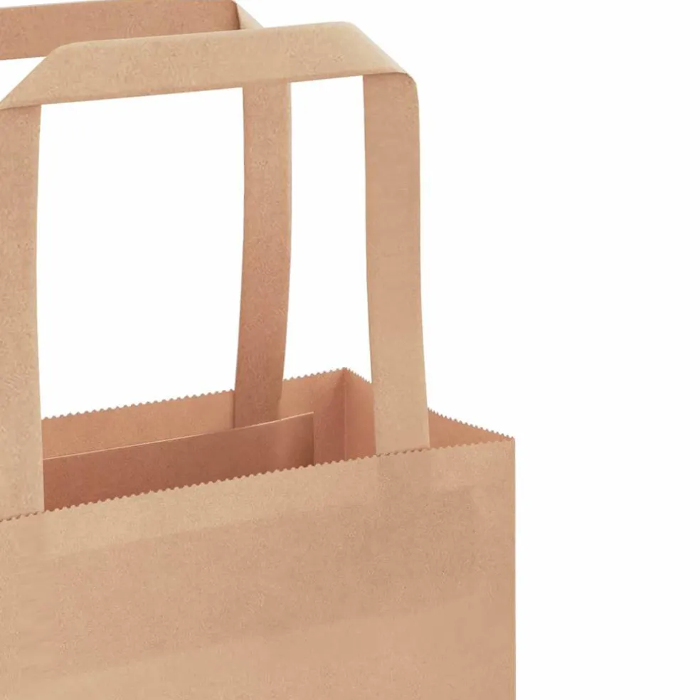 vidaXL Papieren zakken 50 st met hengsels 18x8x22 cm bruin