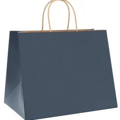vidaXL Papieren zakken 250 st met hengsels 32x22x24 cm blauw