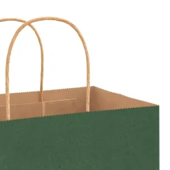 vidaXL Papieren zakken 250 st met hengsels 45x17x48 cm groen
