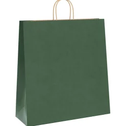 vidaXL Papieren zakken 250 st met hengsels 45x17x48 cm groen