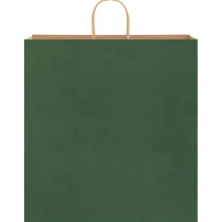 vidaXL Papieren zakken 250 st met hengsels 45x17x48 cm groen