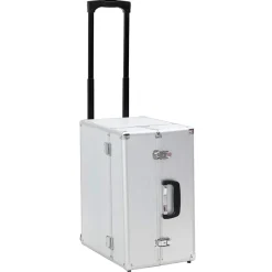 vidaXL Pilotentrolley 47x39x27 cm aluminium zilverkleurig
