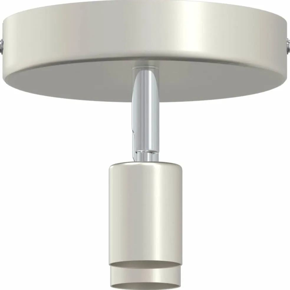 vidaXL Plafondspot met schijnwerpers Nikkel 12 x 8 cm Staal
