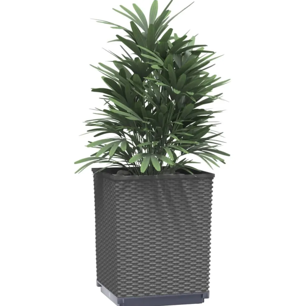 vidaXL Plantenbakken 2 st 30x30x37 cm polypropeen zwart