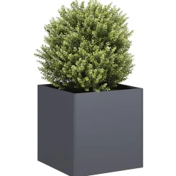 vidaXL Plantenbak 40x40x40 cm koudgewalst staal antracietkleurig