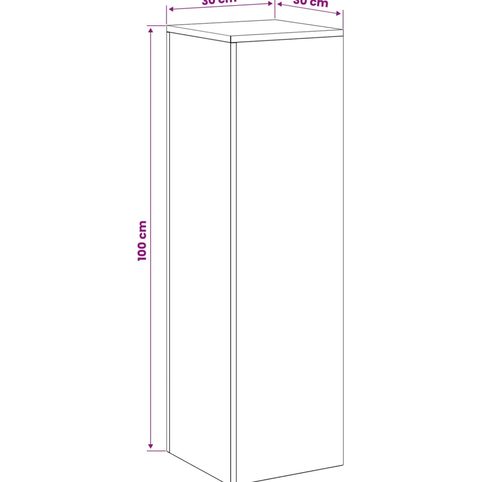 vidaXL Plantenstandaard 2 pcs Roestkleurig 30 x 30 x 100 cm