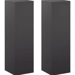vidaXL Plantenstandaard 2 pcs Zwart 30 x 30 x 100 cm Staal