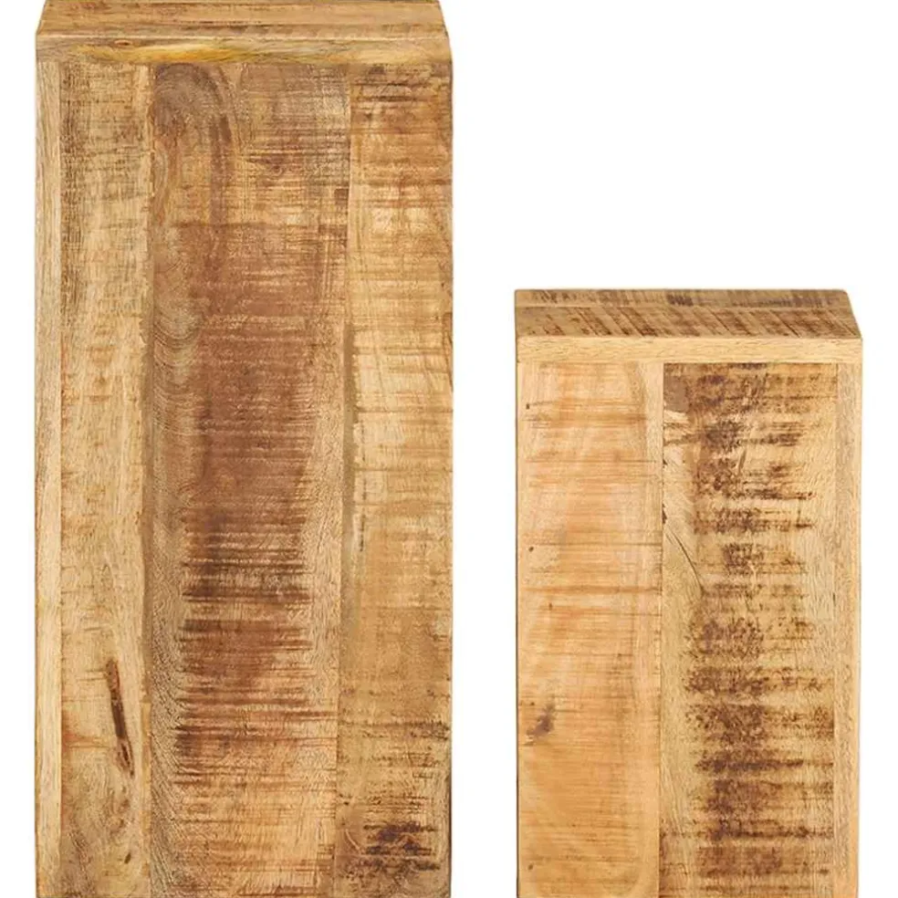 vidaXL Plantenstandaards 2 st massief mangohout