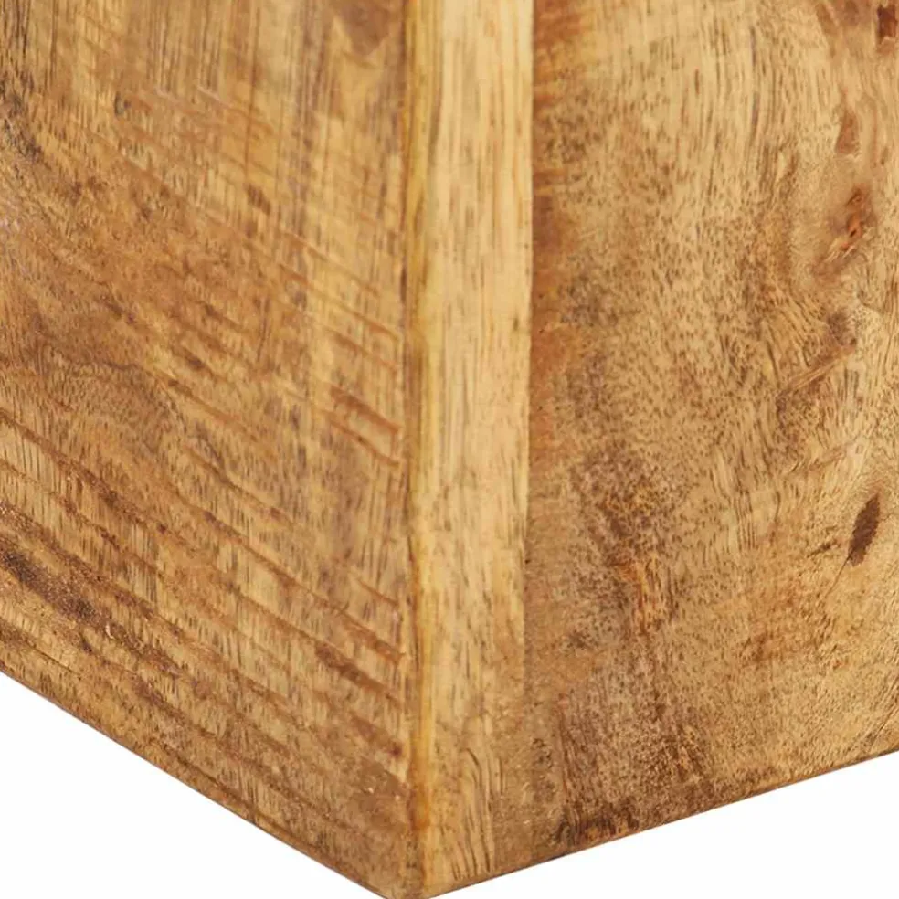 vidaXL Plantenstandaards 2 st massief mangohout