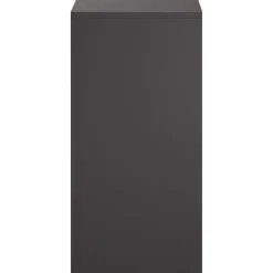 vidaXL Plantenstandaard Zwart 30 x 30 x 60 cm Staal