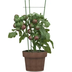 vidaXL Plantensteunen 5 st met 3 ringen 45 cm staal groen