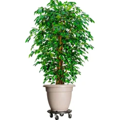 vidaXL Plantentrolley met wielen 275 kg diameter 40 cm zwart