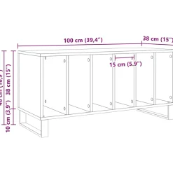 vidaXL Platenkast artisanaal eikenkleurig 100 x 38 x 48 cm