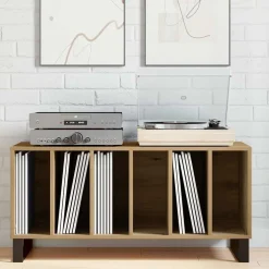 vidaXL Platenkast artisanaal eikenkleurig 100 x 38 x 48 cm