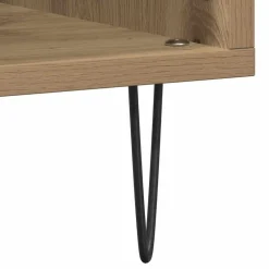 vidaXL Platenkast artisanaal eikenkleurig 100 x 38 x 48 cm