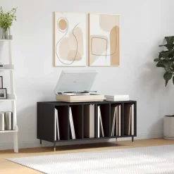 vidaXL Platenkast 100x38x48 cm bewerkt hout zwart