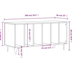 vidaXL Platenkast 100x38x48 cm bewerkt hout betongrijs