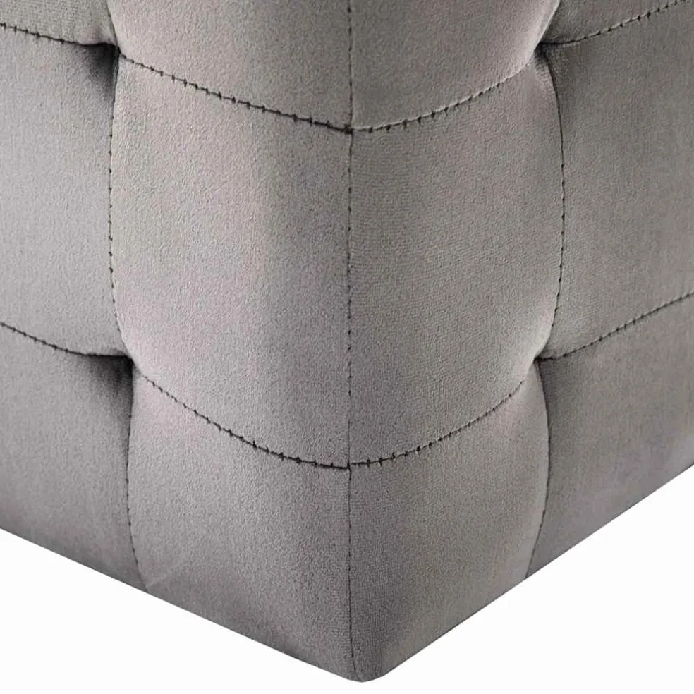 vidaXL Poef 2 st 30x30x30 cm fluweel grijs