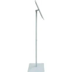 vidaXL Posterstandaard met voet 32,5 x 27 x 126 cm Gietijzer zilver