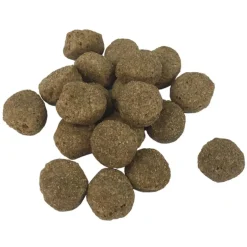 vidaXL Premium hondenvoer droog Adult Essence Beef 15 kg