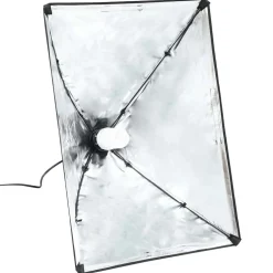 vidaXL Professionele studiolampen 2 st 40x60 cm staal zwart