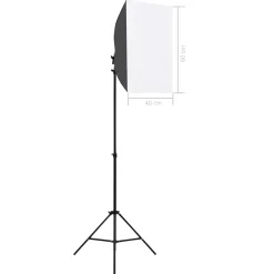 vidaXL Professionele studiolampen 2 st 40x60 cm staal zwart