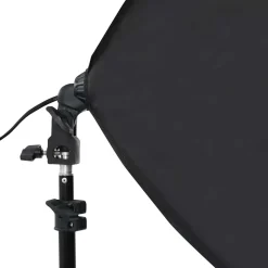 vidaXL Professionele studiolampen 2 st 40x60 cm staal zwart