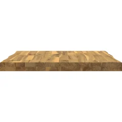 vidaXL Rechthoekig Tafelblad 40 x 40 x 3 cm Vierkant