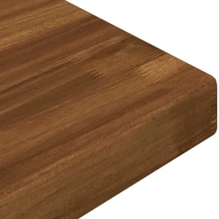 vidaXL Rechthoekig Tafelblad 30 x 20 x 3 cm Rechthoekig