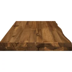 vidaXL Rechthoekig Tafelblad 40 x 20 x 3 cm Rechthoekig