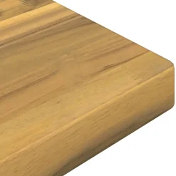 vidaXL Rechthoekig Tafelblad 40 x 20 x 3 cm Rechthoekig