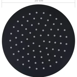 vidaXL Regendouchekop rond 20 cm roestvrij staal zwart