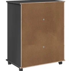 vidaXL Rolling Kast 63,5 x 39 x 79 cm Massief Vurenhout Grijs