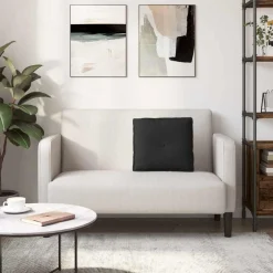 vidaXL Rugkussen Zwart 50 x 45 cm Microvezel Stof