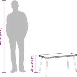 vidaXL Salontafel Bruin en zwart 90 x 45 x 43 cm poly rattan