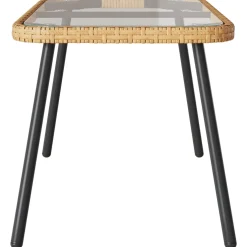 vidaXL Salontafel Bruin en zwart 90 x 45 x 43 cm poly rattan