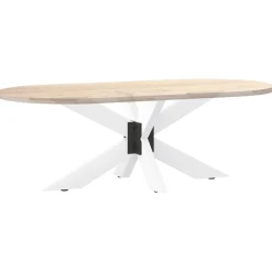 vidaXL Salontafelpoot spider vorm 98x58x(42-43) cm staal wit