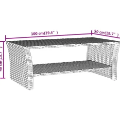 vidaXL Salontafel 100x50x40 cm poly rattan zwart