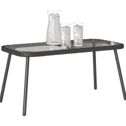 vidaXL Salontafel Zwart 90 x 45 x 43 cm poly rattan